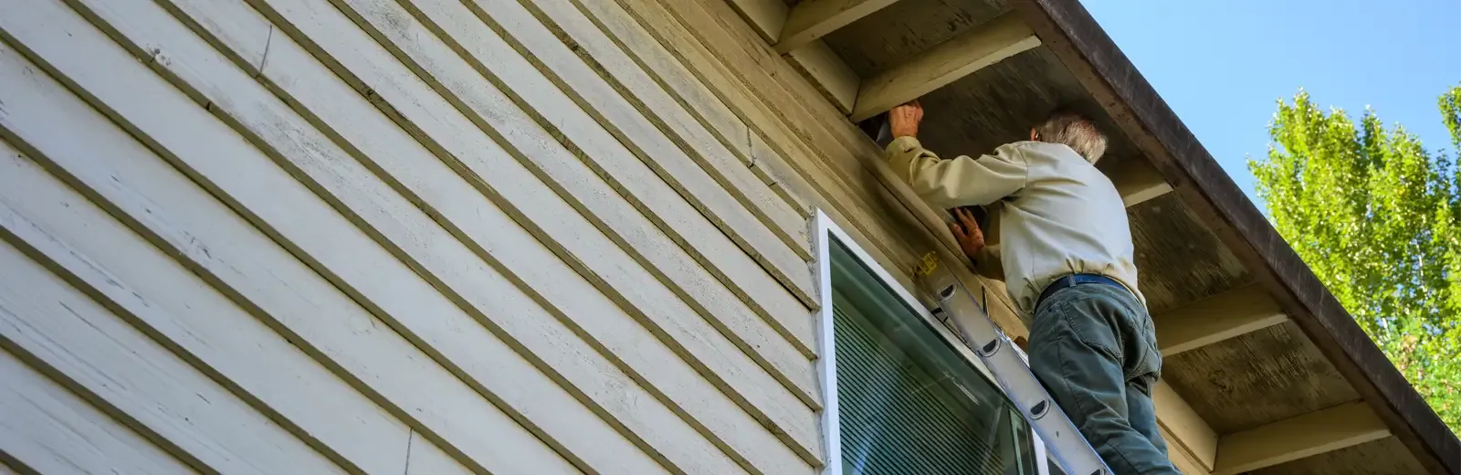 replacing mesh in attic vent