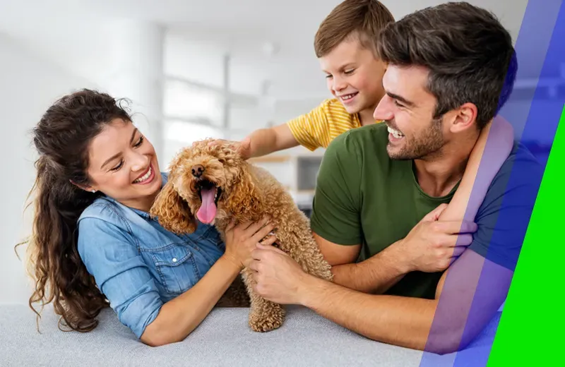 family playing with dog in pest free home