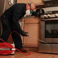 anytime-pest-expert