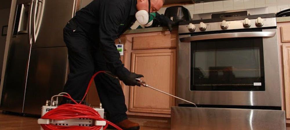 anytime-pest-expert