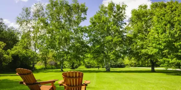 chairs-in-backyard-trees