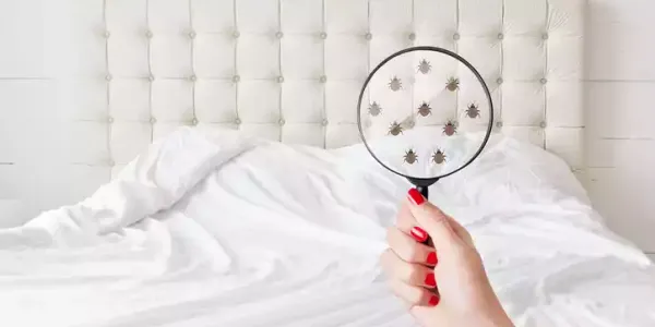 bed-bug-prevention