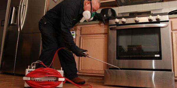 anytime-pest-expert