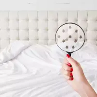 bed-bug-prevention